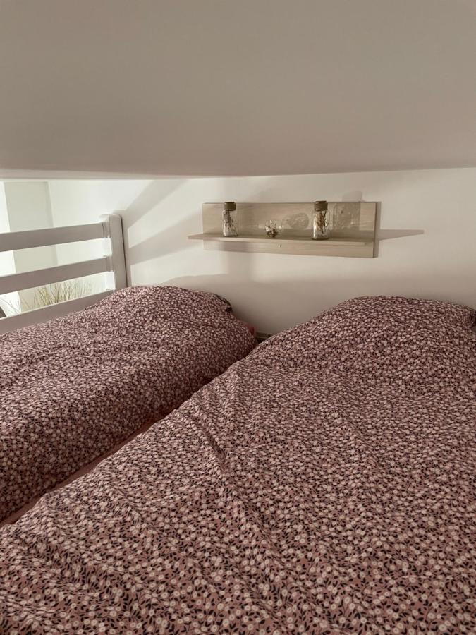 Appartement En Hyper Centre